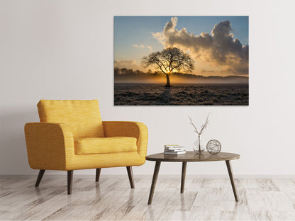Leinwandbild Ein einsamer Baum