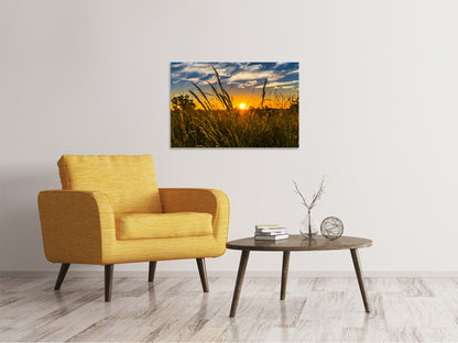 Leinwandbild Der Sonnenuntergang auf dem Feld