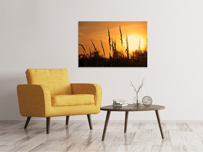 Leinwandbild Sonnenaufgang auf dem Feld