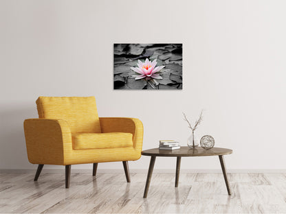 Leinwandbild Die Kunst der Seerose