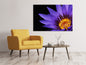 Leinwandbild XL Seerose in lila