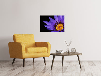 Leinwandbild XL Seerose in lila