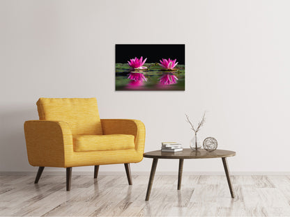 Leinwandbild Seerosen Duo in pink