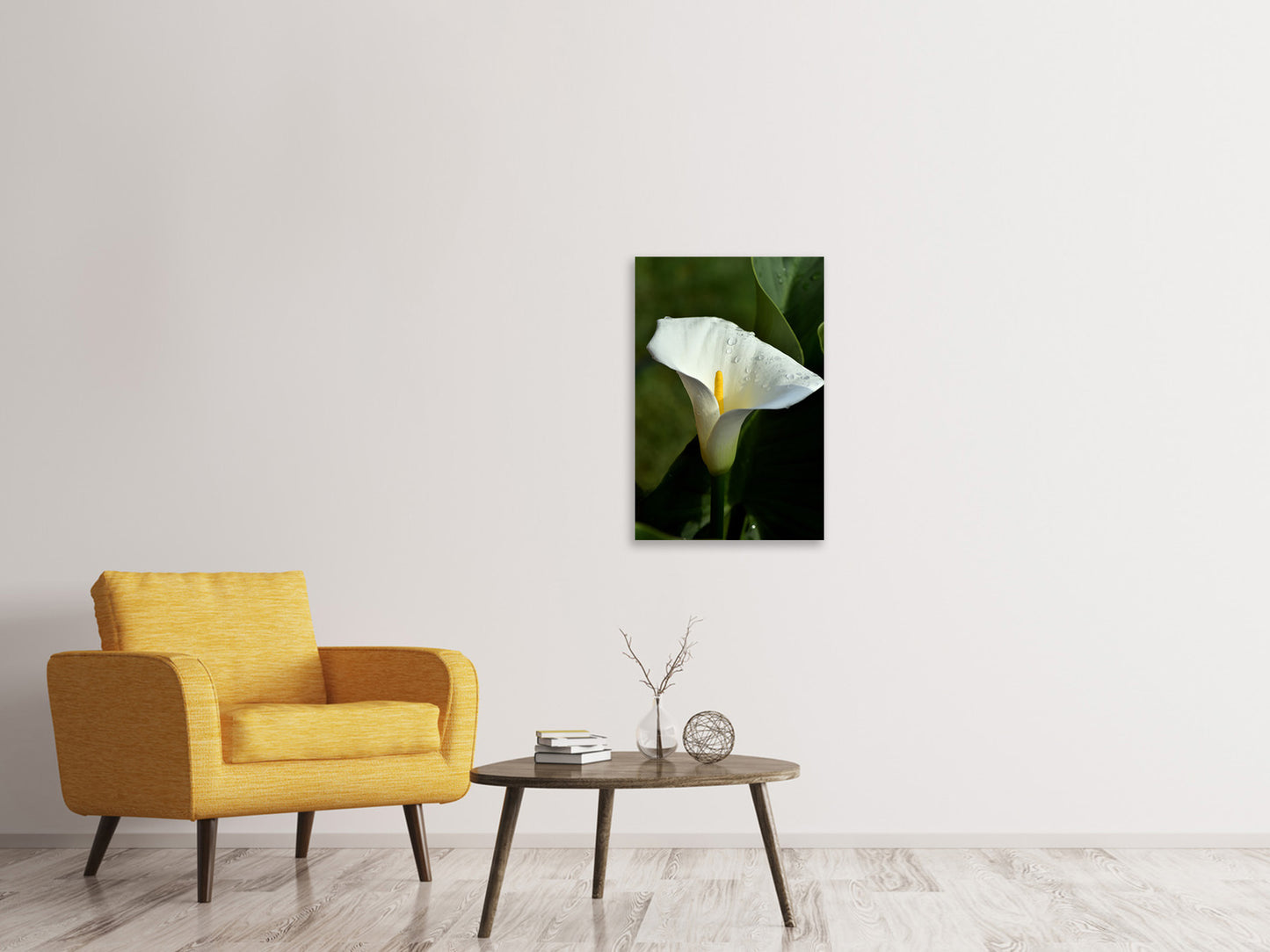 Leinwandbild Weisse Calla mit Morgentau