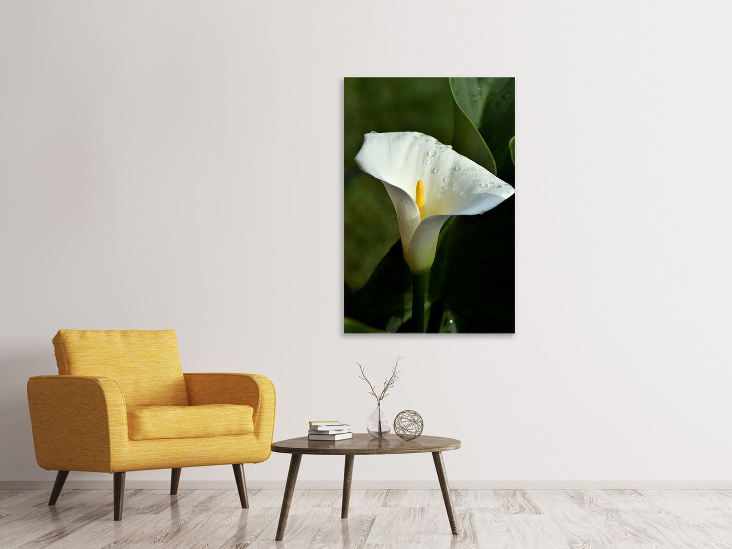 Leinwandbild Weisse Calla mit Morgentau