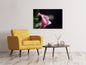 Leinwandbild Calla in lila