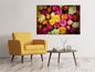 Leinwandbild Viele bunte Rosenblüten