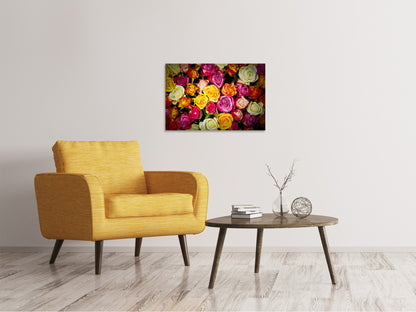 Leinwandbild Viele bunte Rosenblüten