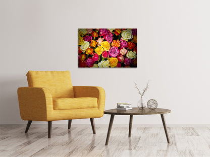 Leinwandbild Viele bunte Rosenblüten