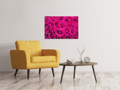 Leinwandbild Rosenblüten in pink