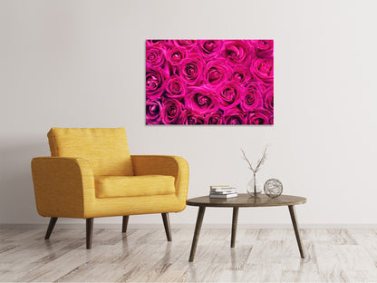 Leinwandbild Rosenblüten in pink