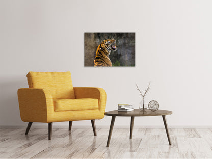 Leinwandbild Achtung Tiger