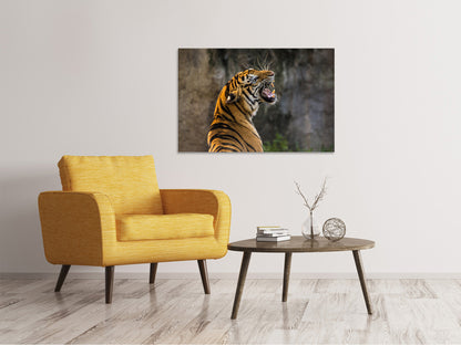 Leinwandbild Achtung Tiger