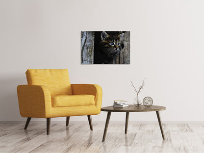 Leinwandbild Katzen Kind