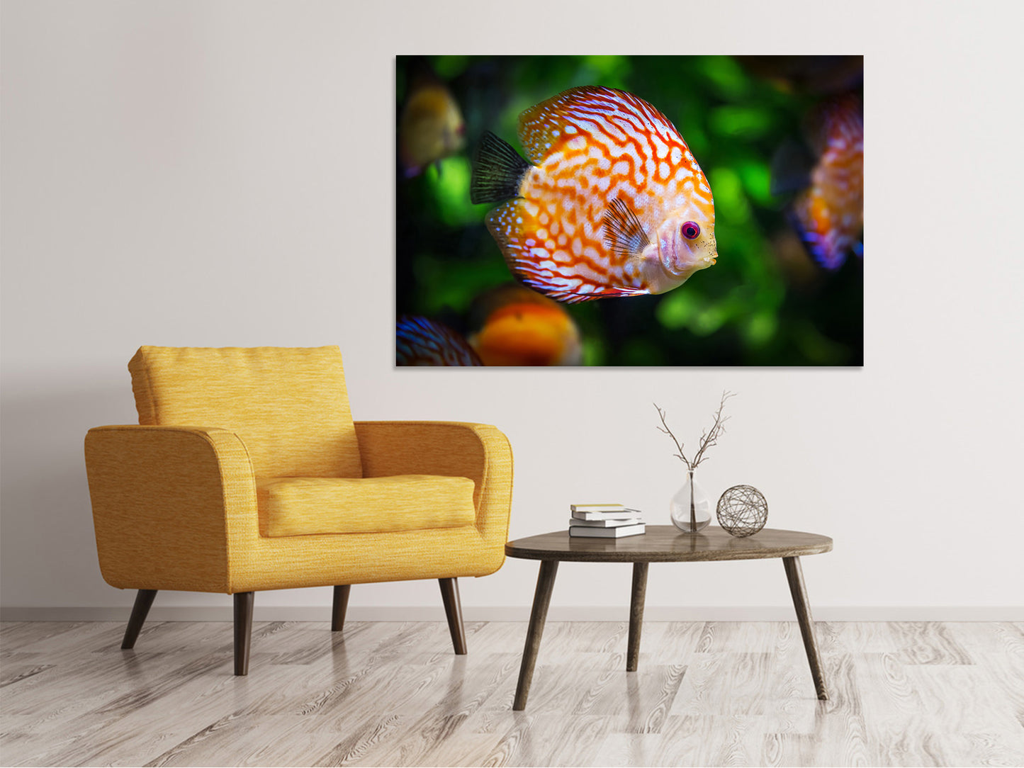 Leinwandbild Der Diskus Fisch