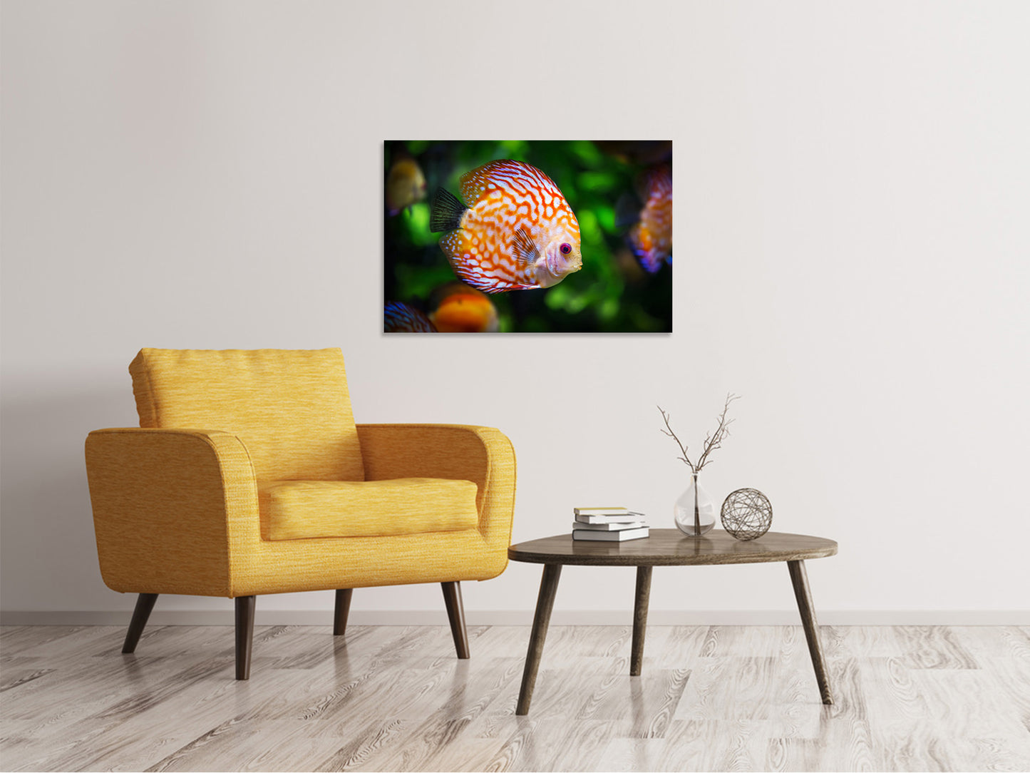 Leinwandbild Der Diskus Fisch
