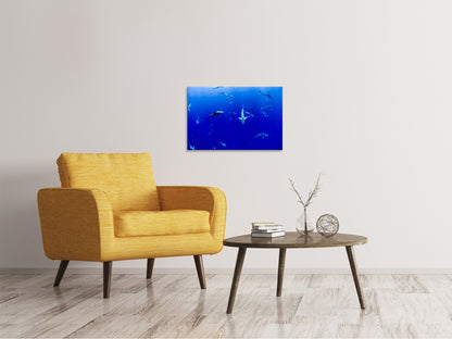 Leinwandbild Im Haifischbecken