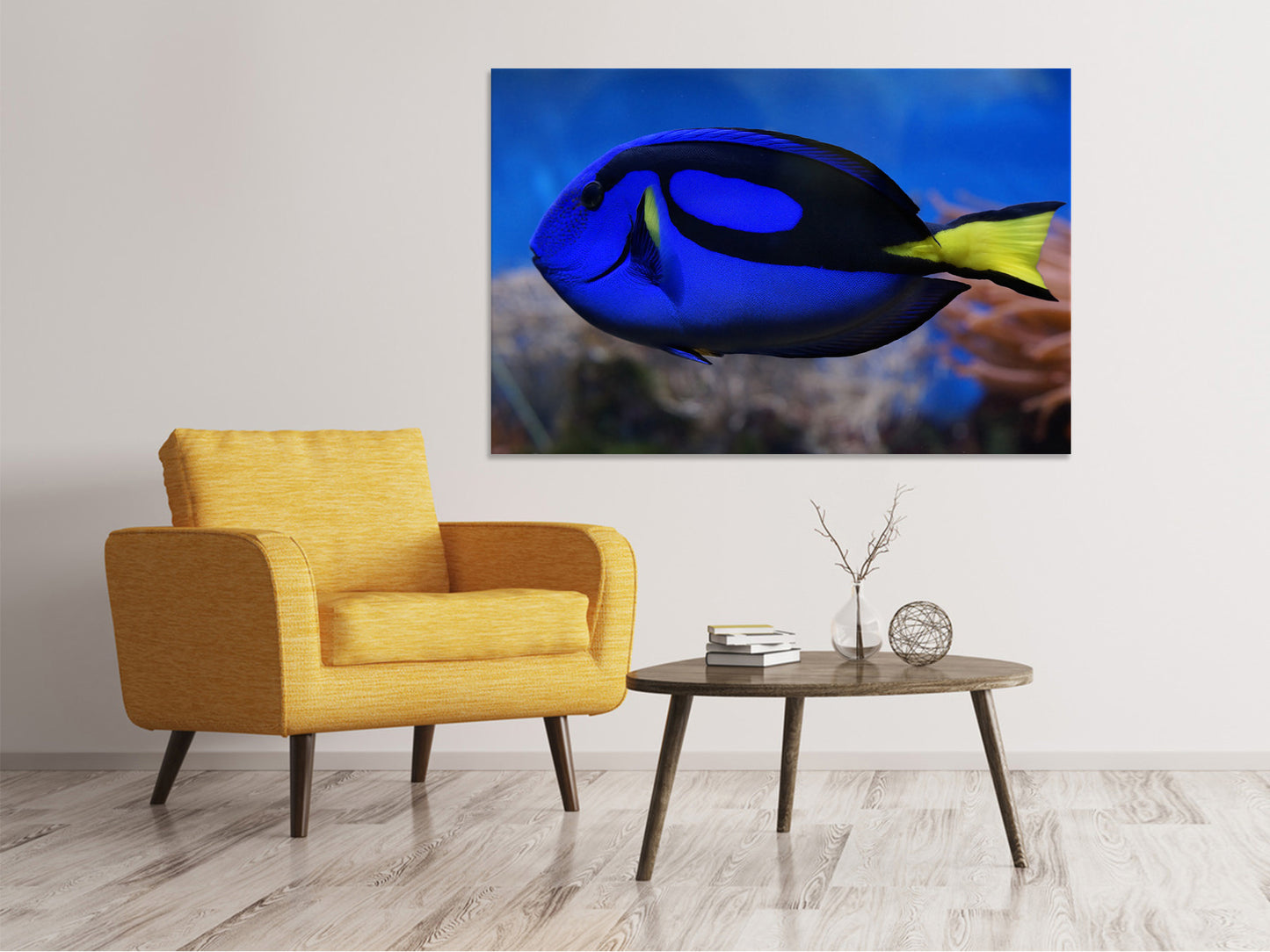 Leinwandbild Der Paletten-Doktorfisch