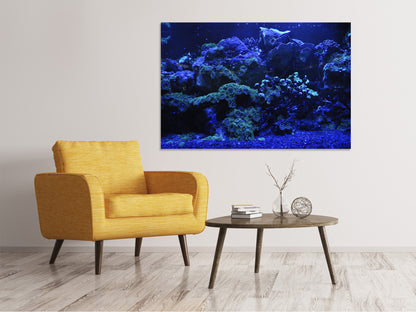 Leinwandbild Korallenriff in blau