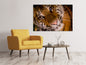 Leinwandbild Tiger Gesicht