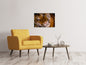 Leinwandbild Tiger Gesicht