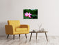 Leinwandbild Lotus in der Natur