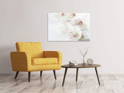 Leinwandbild Fantastische Orchideen
