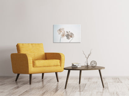 Leinwandbild Anmutige Orchideen