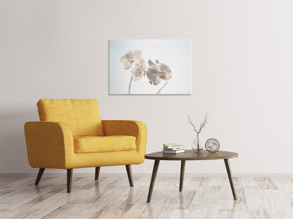 Leinwandbild Anmutige Orchideen