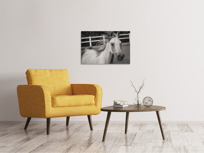Leinwandbild Da steht ein Pferd