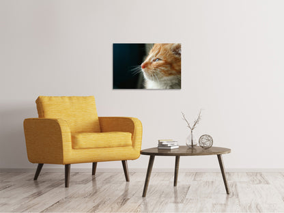 Leinwandbild Kitten Nase