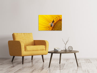 Leinwandbild Biene auf der Sonnenblume