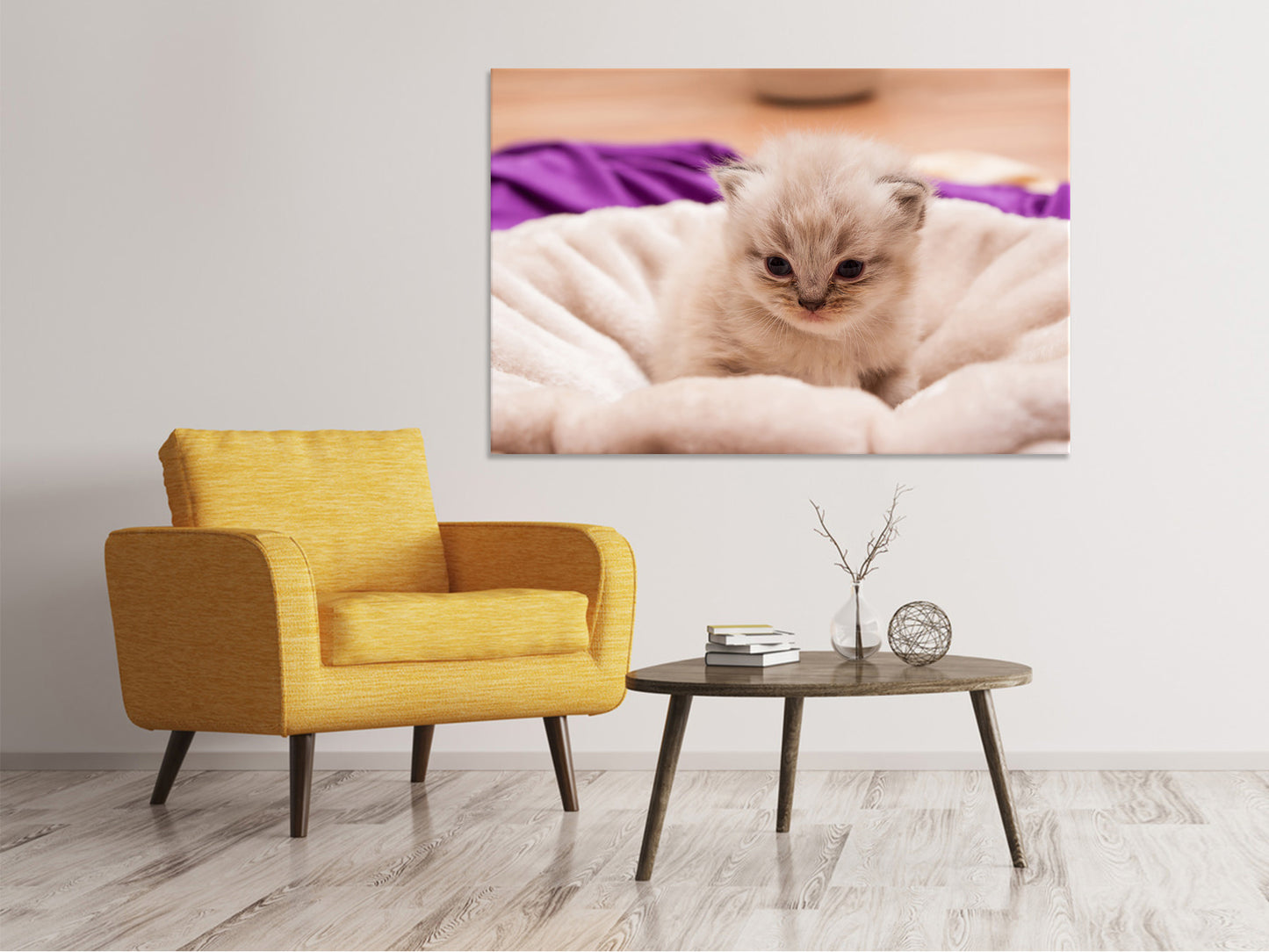 Leinwandbild Kitten zum Verlieben