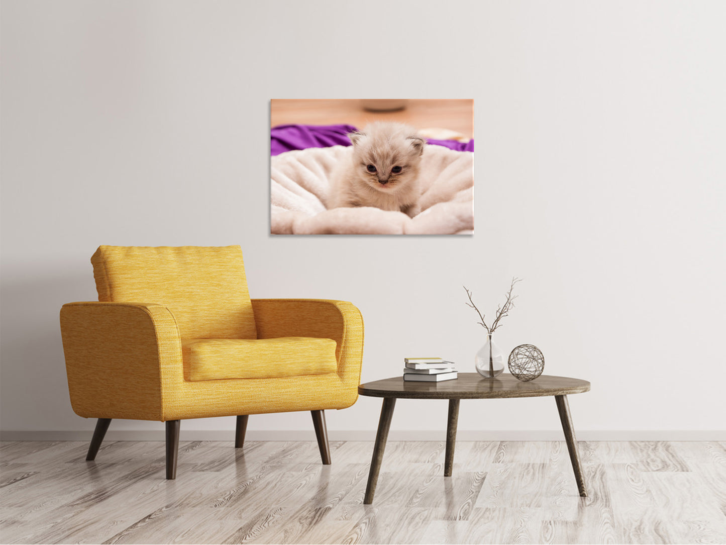 Leinwandbild Kitten zum Verlieben