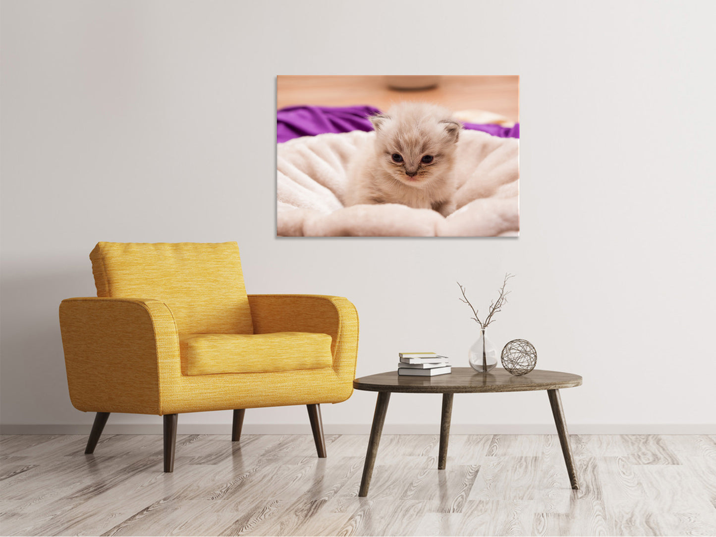 Leinwandbild Kitten zum Verlieben