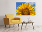 Leinwandbild Sonnenblume in XXL