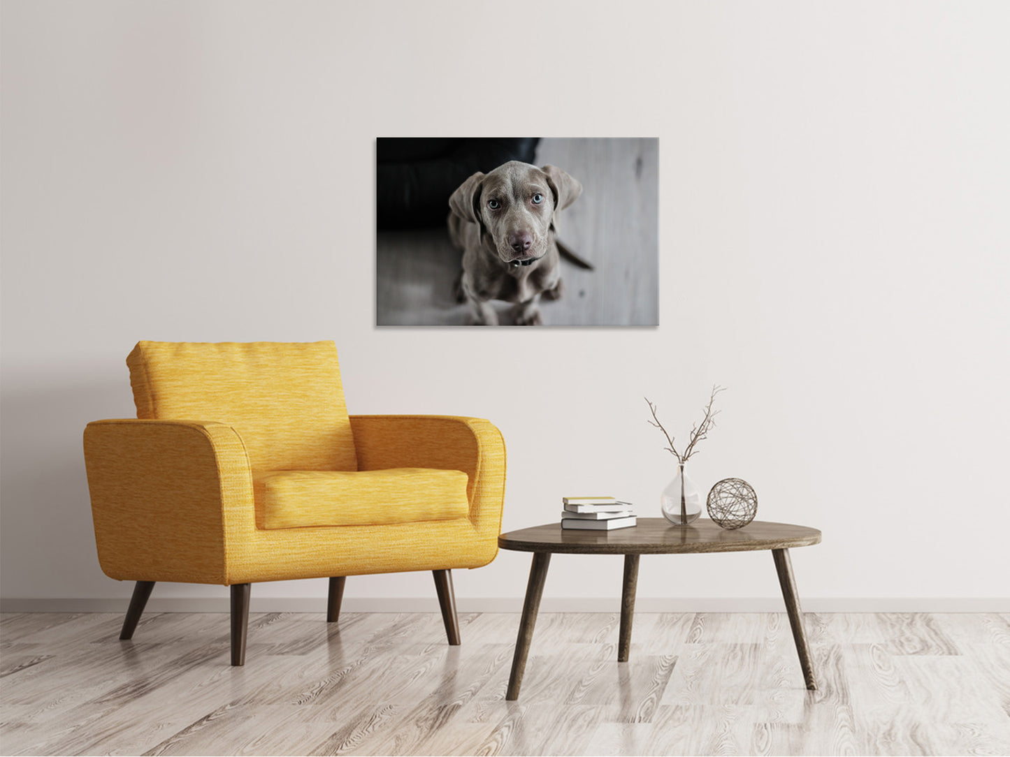 Leinwandbild Der Weimaraner