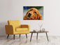Leinwandbild Treuer Irish Setter