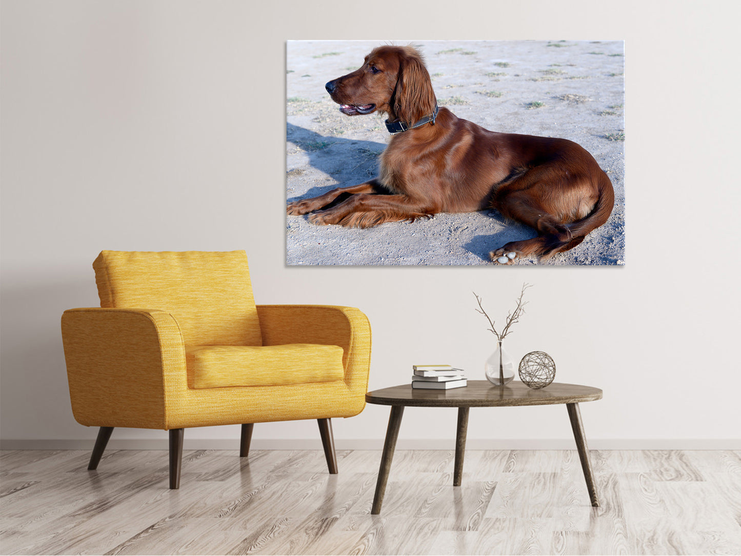 Leinwandbild Eleganter Irish Setter