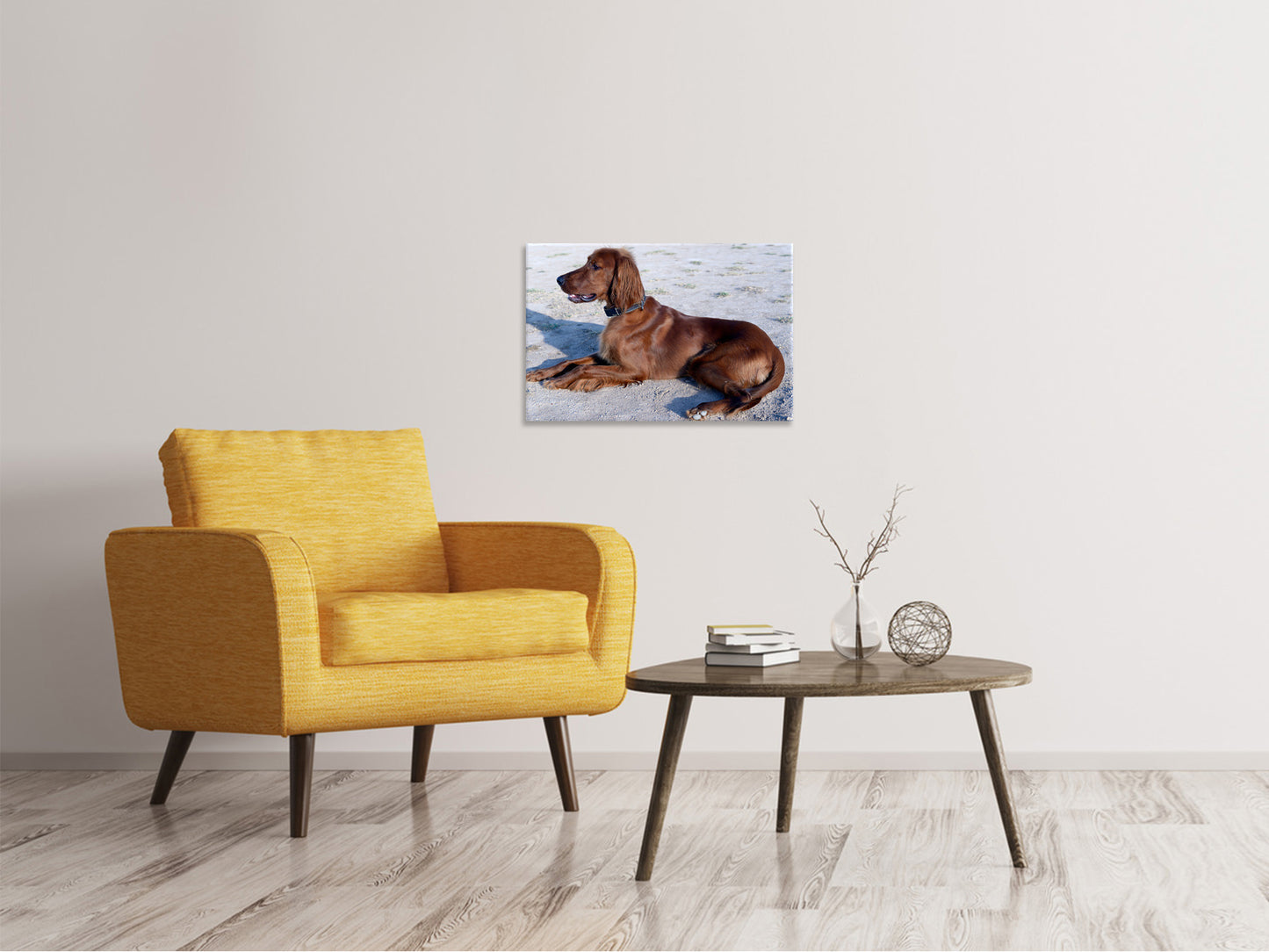Leinwandbild Eleganter Irish Setter