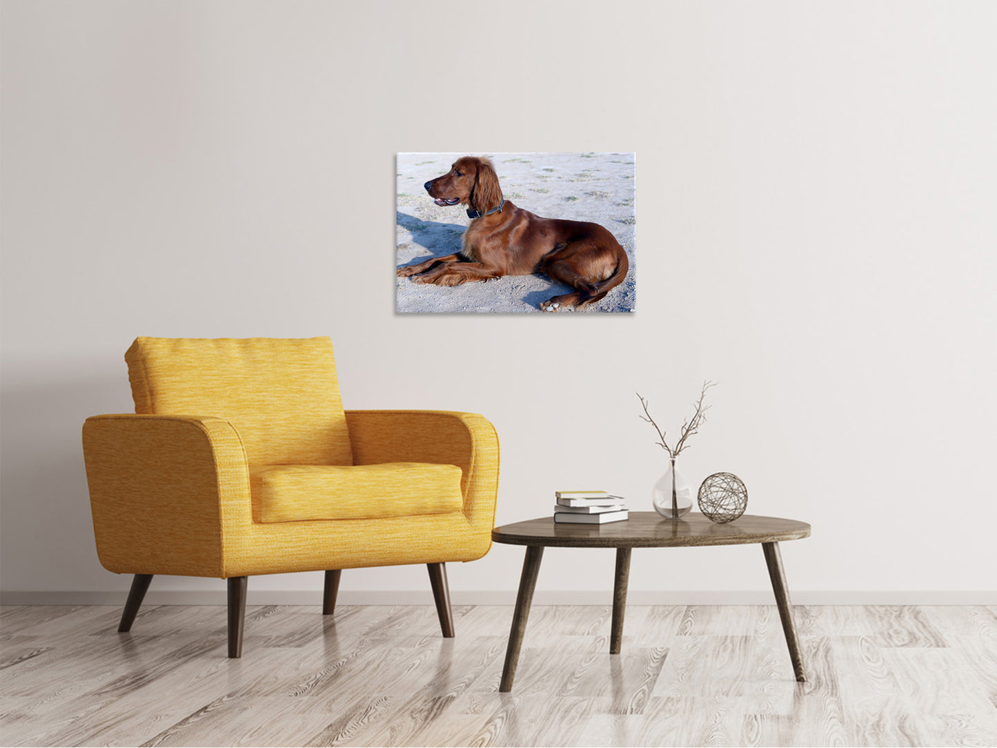 Leinwandbild Eleganter Irish Setter