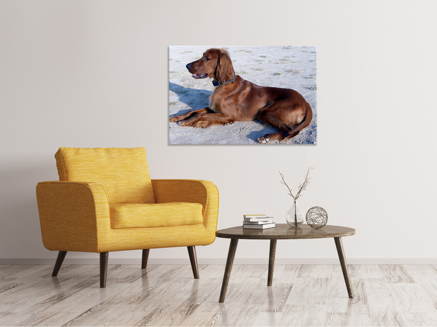 Leinwandbild Eleganter Irish Setter