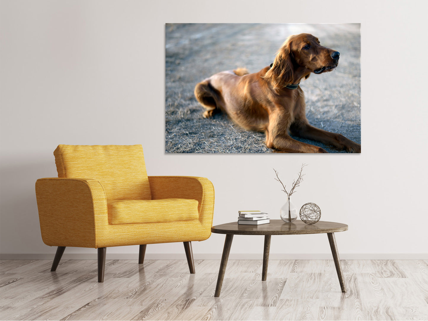 Leinwandbild Der Irish Setter
