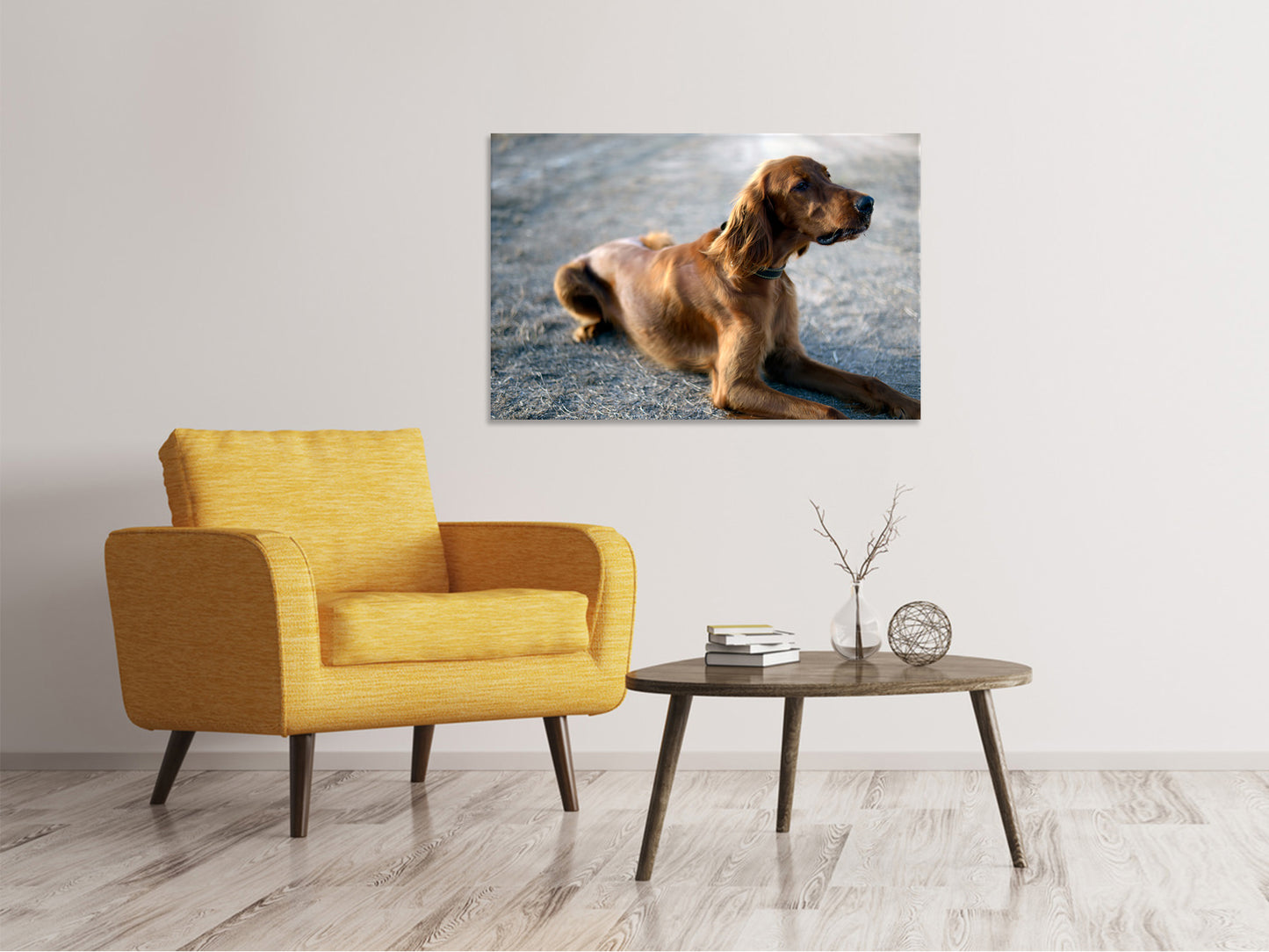 Leinwandbild Der Irish Setter