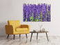 Leinwandbild XL Lavendel
