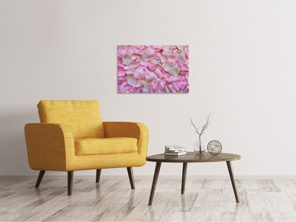 Leinwandbild Rosenblüten in rosa