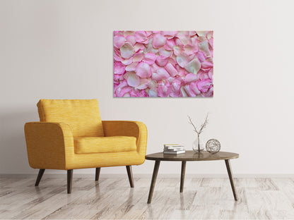 Leinwandbild Rosenblüten in rosa