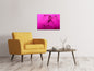 Leinwandbild Pusteblume in pink