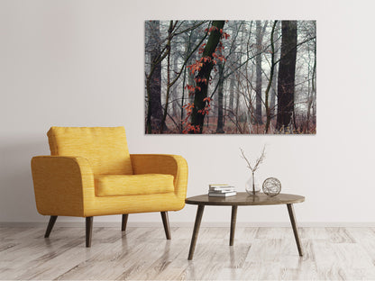 Leinwandbild Herbst Winter