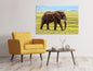 Leinwandbild Prächtiger Elefant